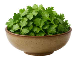 A woven basket lined with a red gingham cloth, filled with freshly picked blackberries.