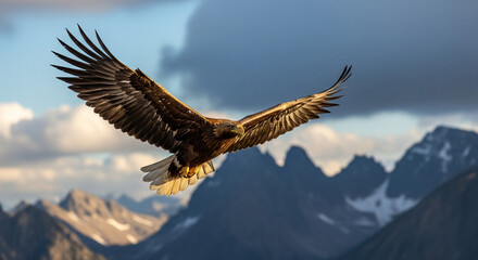 Fototapeta premium Mountain Sentinel