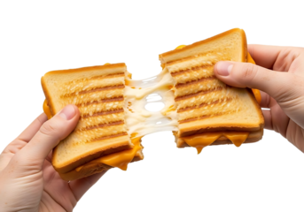 Hands pulling apart a gooey grilled cheese sandwich with melted cheese stretching between the halves isolated on transparent background