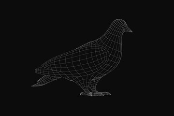 A 3D wireframe pigeon model stands on a black background with realistic detailing. The bird's skeletal structure is visible through the transparent mesh design. Geometric lines form the wings, beak.