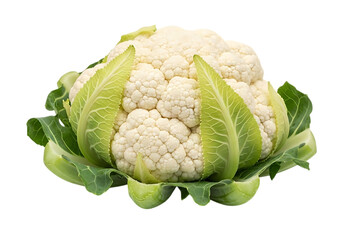 Fresh white cauliflower with green leaves isolated on transparent background