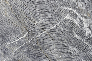Grey rock surface with natural texture