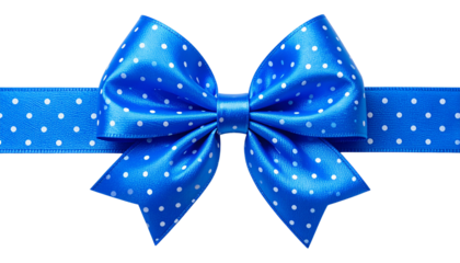 Classic Blue Polka Dot Hair Bow on White Background
