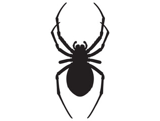SPIDER SILHOUETTE