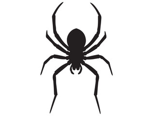 SPIDER SILHOUETTE
