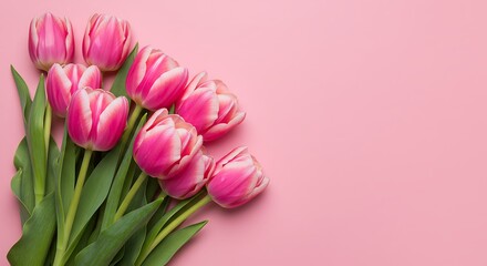 Gentle Blossoms Pink Tulips for Special Occasions, Pretty in Pink Tulip-Themed Card for Every Celebration