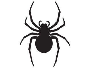 SPIDER SILHOUETTE