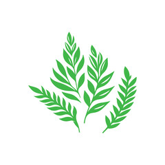 leaf vector illustration on white background