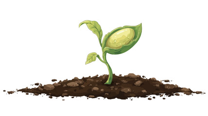 A digital illustration depicts a young sprout with two light green cotyledons emerging from dark brown soil against a white background. The sprout's stem is thin and light green.