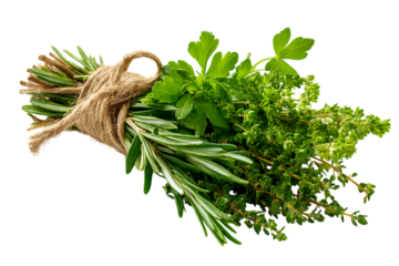 A fresh bundle of culinary herbs including rosemary, thyme, and parsley tied with twine on transparent background