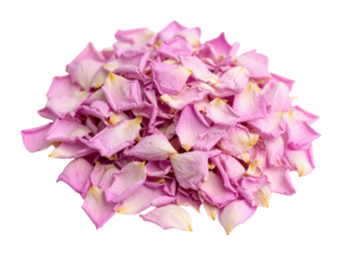 A pile of delicate pink rose petals with subtle yellow highlights, softly curled and layered.