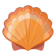 vector illustration of an shell