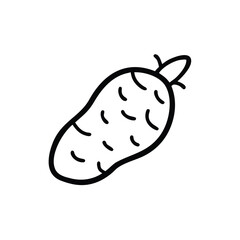 Detailed Sweet Potato Illustration with Irregular Curve and Root Hairs