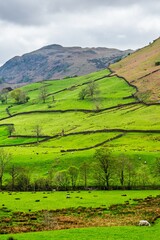Obraz premium Farms in Lake District National Park, Cumbria, England