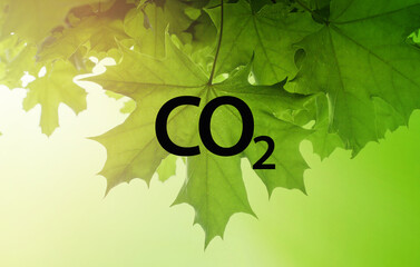 Carbon Dioxide CO2 black letters on green leaves background