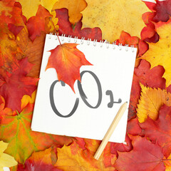 Carbon dioxide written on white paper lying on autumn leaves background