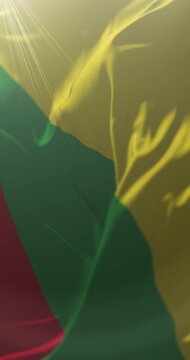 Department of Pasco Flag, Peru. Loop. 4K Vertical