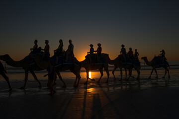 Sunset Camel Ride at Cable Beach, Western Australia