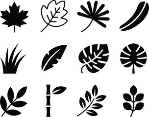 Collection of stylized black and white botanical leaf icons and silhouettes