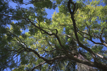 オーストラリアの大自然