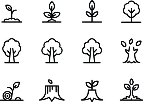 Tree growth stages icons set representing plant development and life cycle