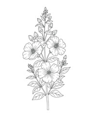 Floral Branch Drawing with Flowers, Leaves, and Buds in Outline Style, Botanical Illustration Vector Illustration