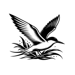 Obraz premium A tern flying over the water isolated on white background