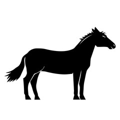 Horse.ai