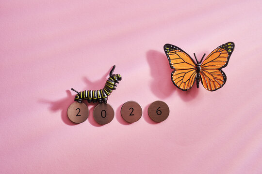 resolution 2026 caterpillar dreaming be a butterfly.