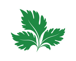 Green Leafy Parsley Herb Graphic, Fresh Ingredient, Elegant Simple Design, Culinary Element, Vector Illustration