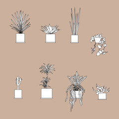 vector set of flowers