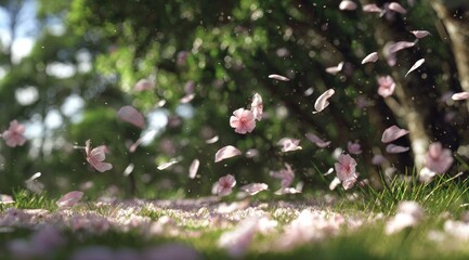 A digitally rendered image depicts pink blossoms and petals falling in a sun-dappled grassy area