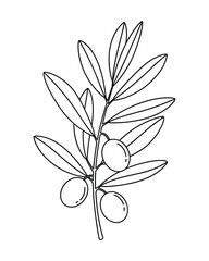 Olive Branch with Leaves and Olives Outline Style, Minimalist Design Element, Isolated on White Background, Vector Illustration