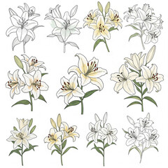 Obraz premium seamless pattern with flowers