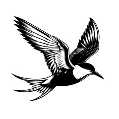 Obraz premium A graceful tern soars through the air with wings spread wide