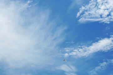 blue sky with clouds