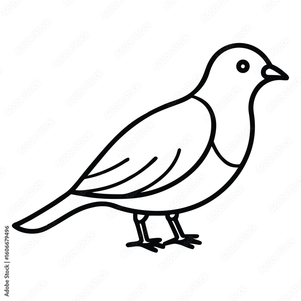 Poster simple line drawing of a bird standing on two legs with a small beak and a round eye