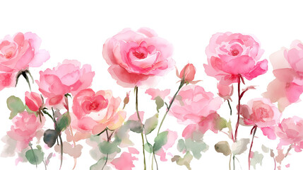 Fototapeta premium Elegant watercolor illustration of blooming pink roses with green leaves, isolated on a transparent background. Ideal for invitations, packaging, and floral design projects.