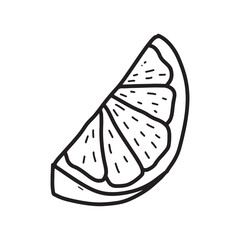 Hand drawn citrus minimalist doodle line art slice vector illustration