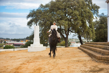 Young female horsewoman riding a black Spanish thoroughbred horse, trotting with him towards the...