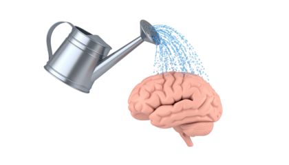 human brain being showered with water from watering can isolated on transparent background, symbol of mental health and well being, memory and focus