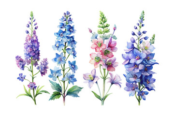 Naklejka premium set of watercolor Delphinium Branch vector illustration isolated on white background