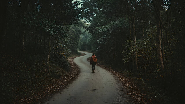 A lone traveler walking on a long winding path through a dense forest, light rays filtering through trees, backpack on, walking with steady steps, expression of faith and purpose, serene and motivatio - Powered by Adobe