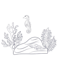 Seahorse with shells, corals, fish, algae and bubbles. Marine of the underwater world hand drawn in black ink graphically. Vector composition in EPS Stock illustration