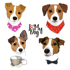 Hand-drawn set with cute Jack Russell Terrier dogs with bandanas around their necks in sketch style.