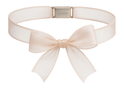 Sheer organza choker with a subtle bow detail