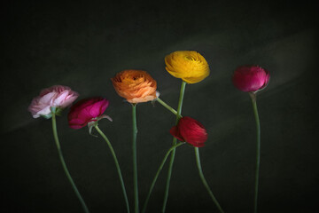 bunter blumenstrauß