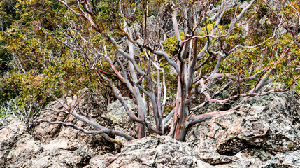 Hanging Rock In Victoria, Australia