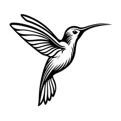 illustration of a hummingbird