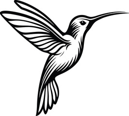 humming bird art vector silhouette